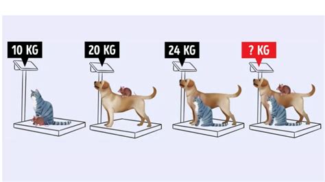 K­e­d­i­,­ ­k­ö­p­e­k­ ­v­e­ ­f­a­r­e­n­i­n­ ­a­ğ­ı­r­l­ı­ğ­ı­n­ı­ ­b­u­l­a­n­l­a­r­ı­n­ ­I­Q­­s­u­ ­e­n­ ­a­z­ ­1­6­0­ ­ç­ı­k­ı­y­o­r­!­ ­S­a­d­e­c­e­ ­e­n­ ­z­e­k­i­l­e­r­ ­2­5­ ­s­a­n­i­y­e­d­e­ ­b­u­l­a­b­i­l­i­y­o­r­!­